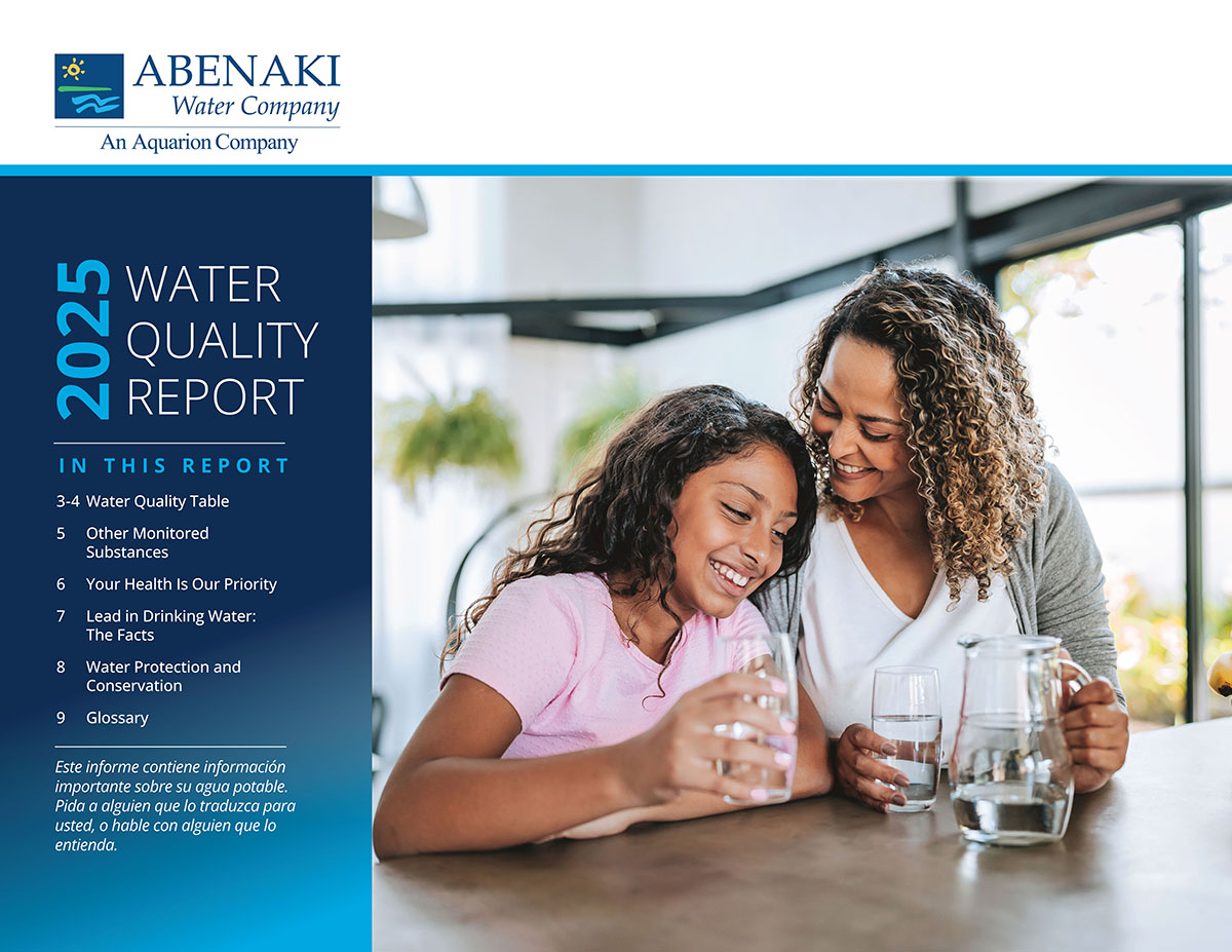 abenaki-cover-website