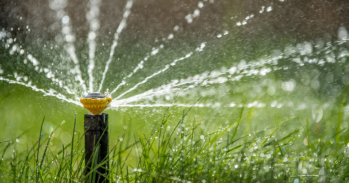 Massachusetts Irrigation Schedule