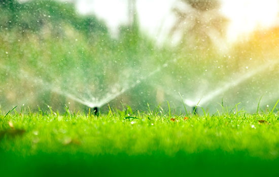 automatic lawn sprinkler watering green grass